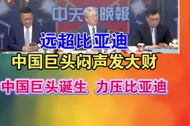 远超比亚迪！中国巨头闷声发大财！中国巨头诞生 力压比亚迪视频封面