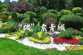 “碳”索青城视频封面