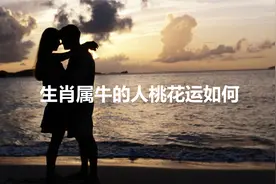 生肖属牛的人在2023年桃花运如何