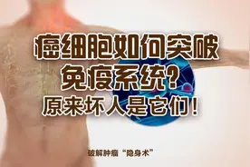 癌细胞如何长成恶性肿瘤？免疫系统这个环节出了问题
