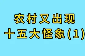 农村又出现十五大怪象(1)视频封面