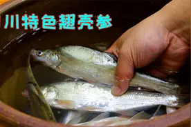 四川这种鱼很多人都没吃过，肉质鲜嫩滋滋入味，比吃海鲜还要巴适视频封面