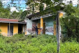 小伙过年回到农村老家，发现老宅里面杂草丛生，决心将它改造翻新视频封面