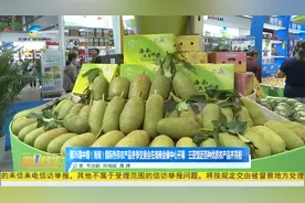 2023年第26届冬季交会在海口开幕 三亚馆近百种优质农产品齐亮相视频封面