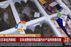 日媒：核污染水排海影响日本多个行业视频封面