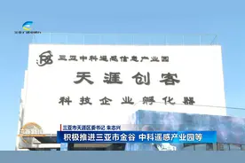 三亚：聚力打造“一标杆、五个区”