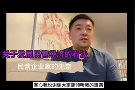 关于民营经济发展自己的看法，说说无奈视频封面