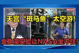 天宫“斑马鱼”太空游！金鱼藻实验让NASA坐不住！8363视频封面