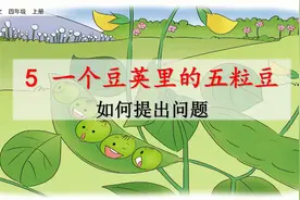 名师讲重点四语上5一个豆荚里的五粒豆（如何提出问题）