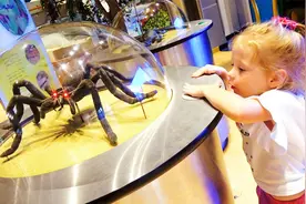 有趣萌娃：暑期打卡神奇儿童博物馆，娜斯嘉玩了哪些好玩的游戏？视频封面