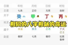 93年命造与滴天髓命造相同，都是命带子午卯酉，盲派看何以当官？视频封面