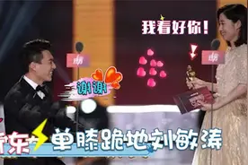 刘敏涛颁奖靳东下跪去接，主持：姐弟情深！靳东刘敏涛关系太好了视频封面