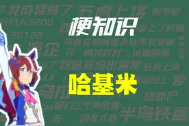 【梗知识】哈基米