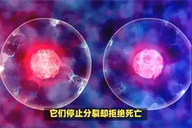人类首次发现逆转衰老的“总开关”！科学家揭秘细胞返老还童密码视频封面