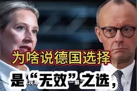 为什么是无效选举？视频封面