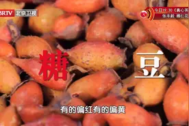 这种“糖豆”不仅能降糖，还可以降低尿蛋白，究竟是什么？视频封面