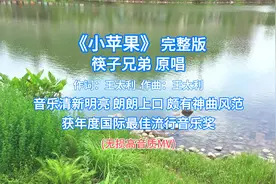 《小苹果》 完整版 筷子兄弟原唱 无损高音质MV 音乐清新明亮