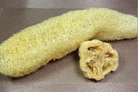 丝瓜络的养生吃法，98岁奶奶经常煮给爷爷喝，腿脚有劲身体棒实用视频封面