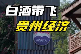 白酒产业，如何带飞贵州经济？视频封面