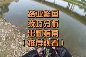 路亚鲶鱼技巧分析出勤时间做钓用饵操作手法详细介绍（强烈推荐）