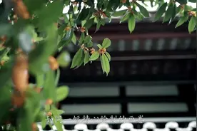 姻缘真的是天注定的！从我儿子结婚这件事上，我就看到了视频封面
