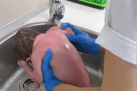 一体式包被，宝宝裹起来超有安全感，可以防惊跳，睡得很踏实视频封面