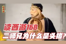 读西游168 二师兄为什么是头猪？