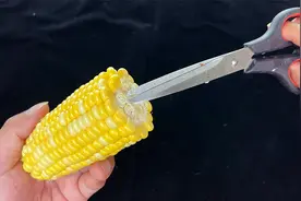 今天才知道，剥玉米粒这么简单，又快又好不脏手，这方法太棒了