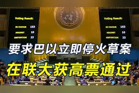 一天内，联大表决3份草案，巴以停火决议获通过，拜登警告以色列视频封面
