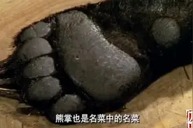 教你烹饪熊掌！八十年代中华美食纪录片，复原宫廷顶级珍馐玉宴！视频封面