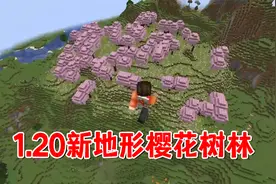 我的世界：1.20新地形樱花树林，粉树粉花粉方块