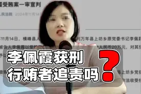 李佩霞获刑后聊聊那些疑问：会追究行贿者责任么？视频封面