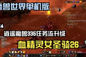 魔兽世界单机版休闲玩法血精灵圣骑士-26视频封面
