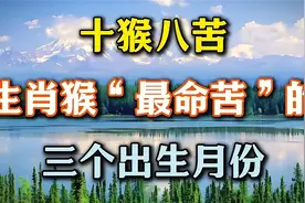 生肖猴“最命苦”的三个出生月份!!!!!视频封面