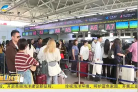 2025年春运三亚机场运送旅客逾342万人次视频封面
