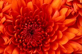 女人和别的异性有曖昧关系，身上会有这三个变化视频封面