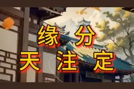 缘分天注定，前世今生，皆有定数，珍惜眼前人。视频封面