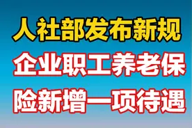 人社部发布新规，2025年1月起，企业职工养老保险新增一项待遇视频封面