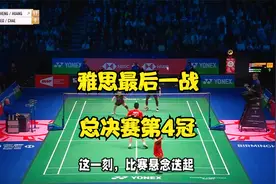 羽毛球总决赛：完美谢幕！雅思最后一战2-1马来组合夺总决赛第4冠视频封面