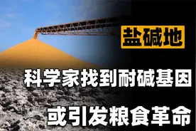 我国耕地约20亿亩，盐碱地有15亿亩，目前我国科学家找到耐碱基因视频封面
