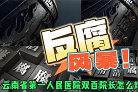 反腐风暴第76集 云南省第一人民医院双百院长怎么炼成的视频封面