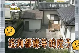 被狗都嫌弃的家！视频封面