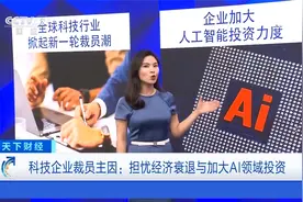 全球科技行业2025年再掀“裁员潮”视频封面
