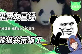 熊猫人脸表情包竟风靡国外？奇葩的文化输出，让外国网友三观尽歪视频封面