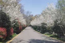 课堂实录  12.03 服装标签的识别