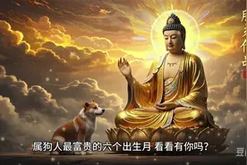 属狗人必看！出生在这六个月，人生像开了挂，财富滚滚来视频封面