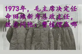 1973年，毛主席决定任命田维新为总政主任，故意问他：曹植埋在哪视频封面