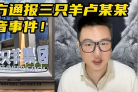 警方通报三只羊卢某某录音事件！系AI合成！视频封面