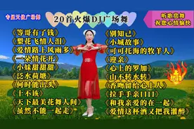 20首火爆DJ《梨花飞情人泪》《别知己》《迎亲》《何时能出头》