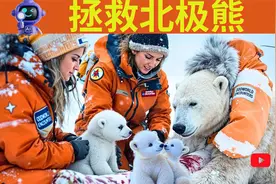 不露脸人工智能AI创意创作拯救北极熊创业被动收入